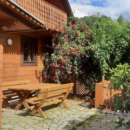Chata Górska Sowa dla 12 osób, 4 sypialnie,salon z kominkiem Podgórzyn Exterior foto