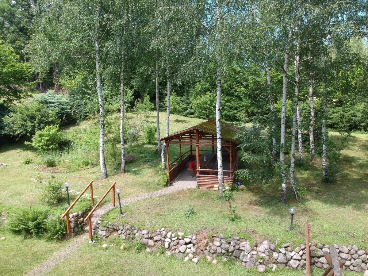 Chata Górska Sowa dla 12 osób, 4 sypialnie,salon z kominkiem Podgórzyn Exterior foto