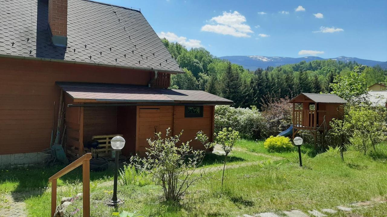 Chata Górska Sowa dla 12 osób, 4 sypialnie,salon z kominkiem Podgórzyn Exterior foto