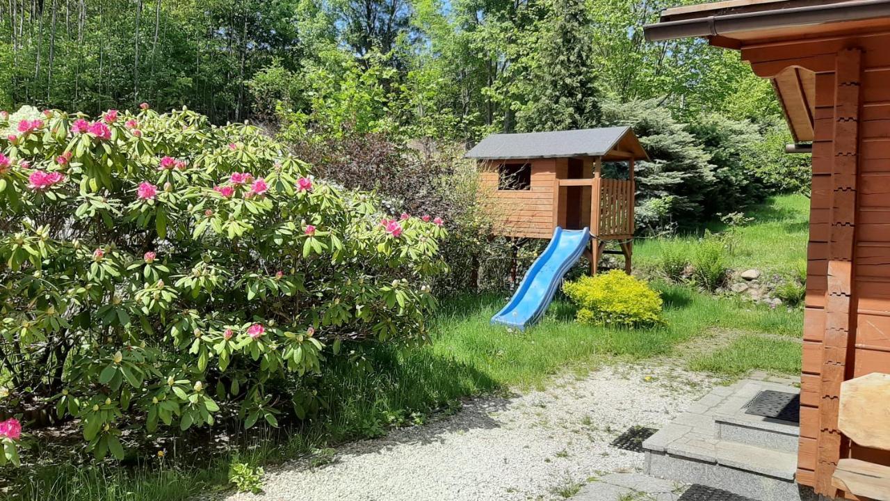 Chata Górska Sowa dla 12 osób, 4 sypialnie,salon z kominkiem Podgórzyn Exterior foto