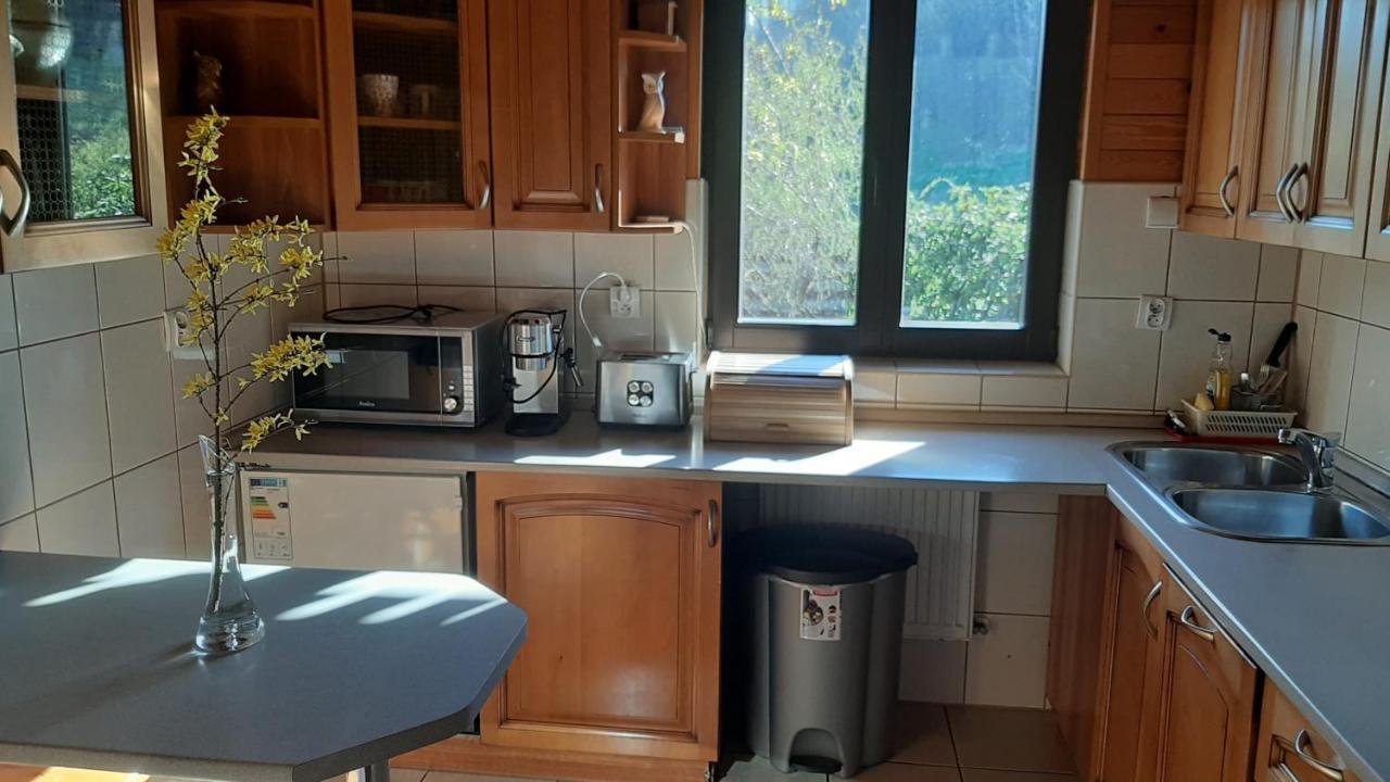 Chata Górska Sowa dla 12 osób, 4 sypialnie,salon z kominkiem Podgórzyn Exterior foto