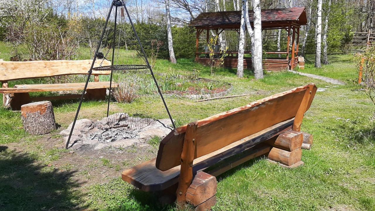 Chata Górska Sowa dla 12 osób, 4 sypialnie,salon z kominkiem Podgórzyn Exterior foto