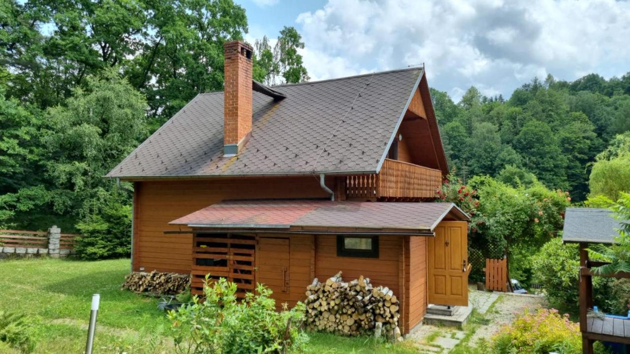 Chata Górska Sowa dla 12 osób, 4 sypialnie,salon z kominkiem Podgórzyn Exterior foto