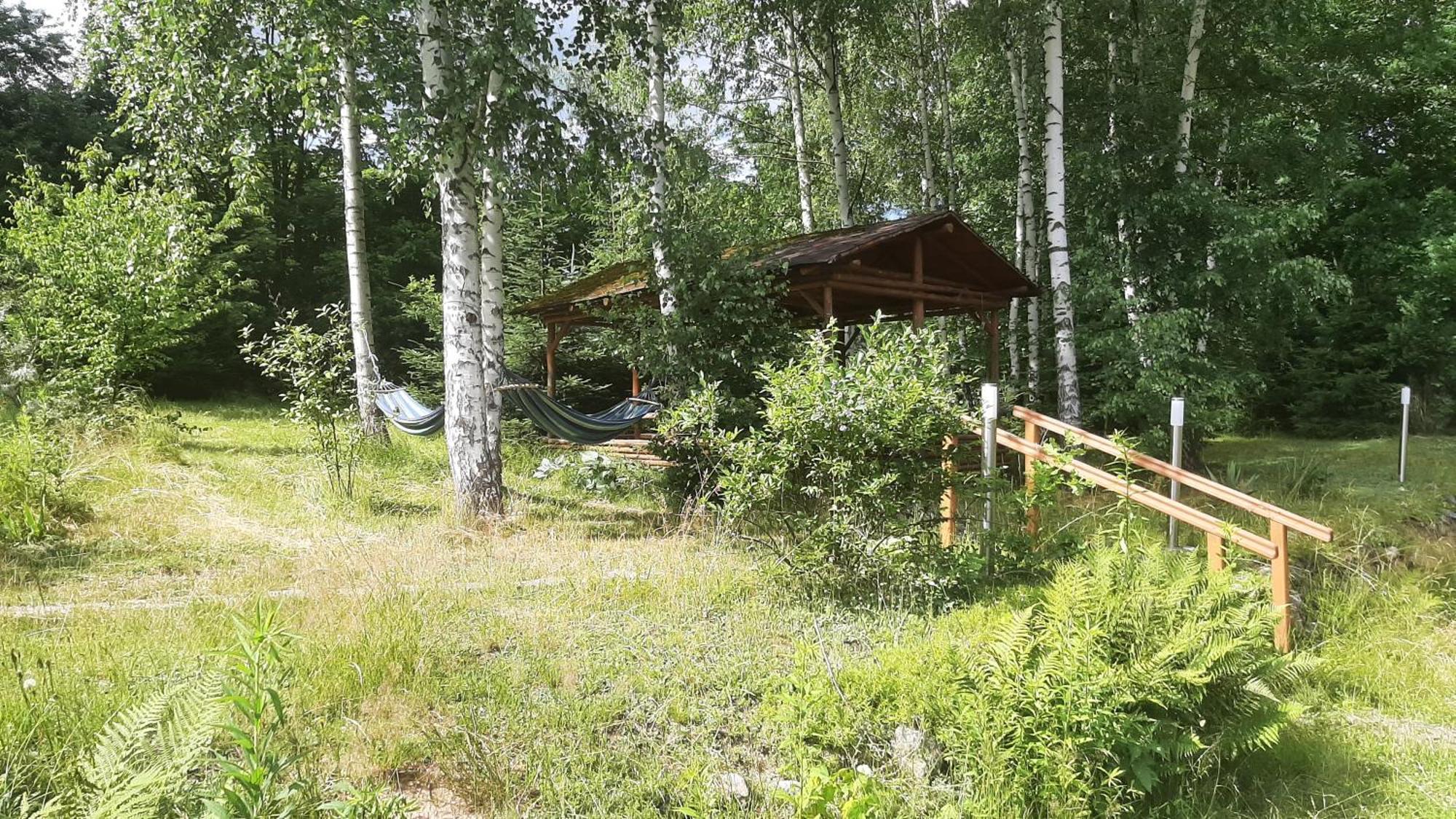 Chata Górska Sowa dla 12 osób, 4 sypialnie,salon z kominkiem Podgórzyn Exterior foto